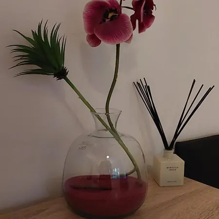 Maximino Apartment *