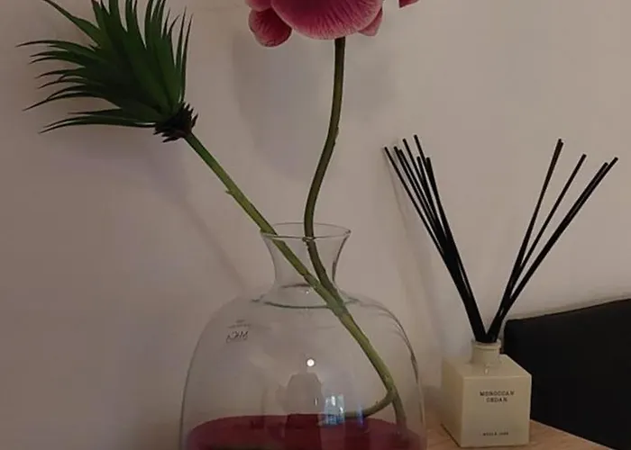 Maximino Διαμέρισμα *